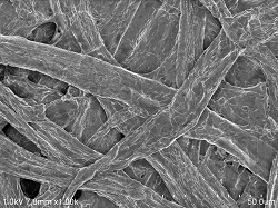 Conductive-SEM-Coatin-Fluid-plain-paper2